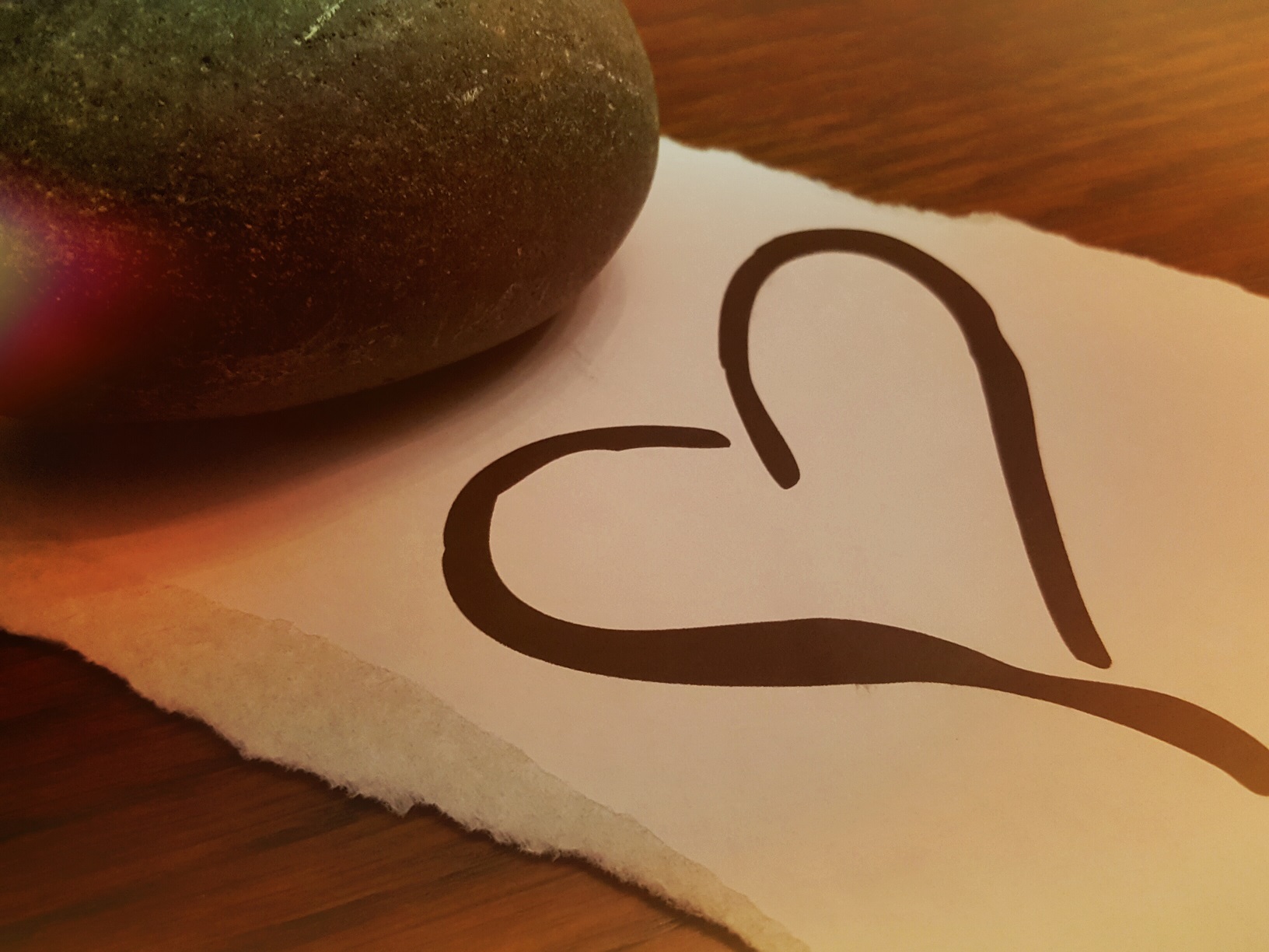 Amor